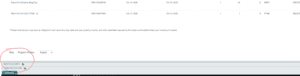 pasted image 0 (1)