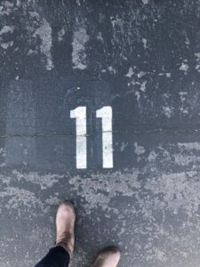 11 |2025 11